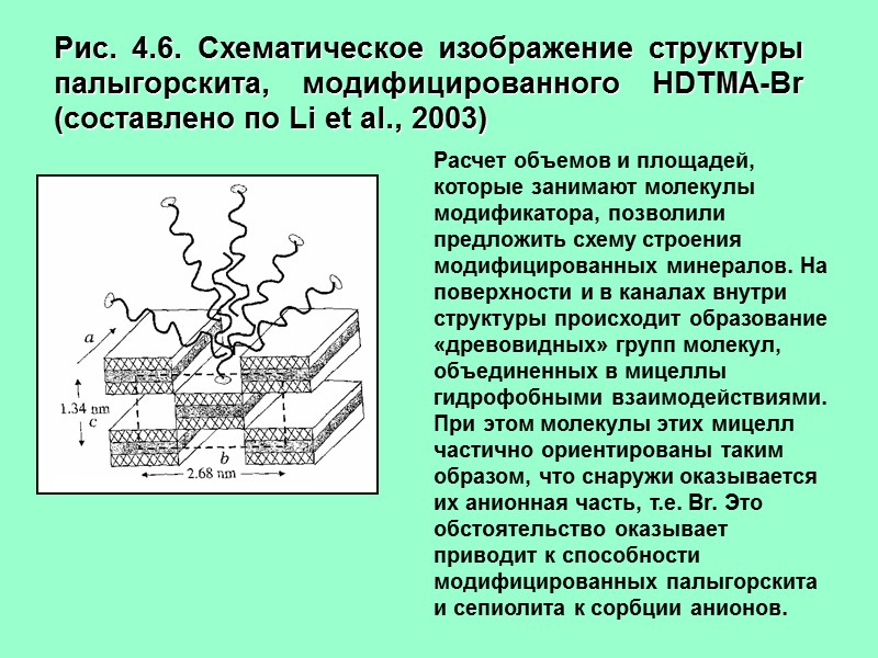 Рис. 4.6. Схематическое изображение структуры палыгорскита, модифицированного HDTMA-Br (составлено по Li et al., 2003)